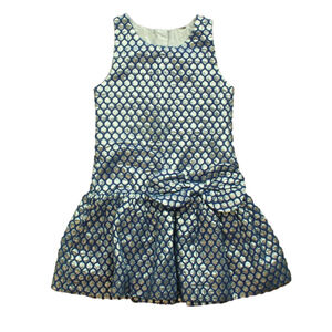 Unknown Brand Girls Blue | Silver Dress size: 3T